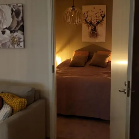 Great In Close To The Airport, With Sauna! アパート ヴァンター