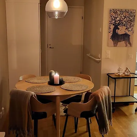 Great In Close To The Airport, With Sauna! 公寓