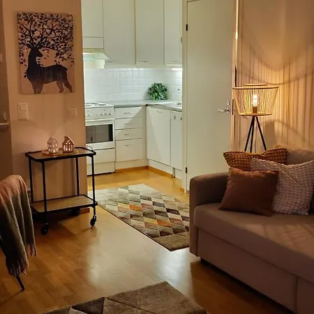 Great In Close To The Airport, With Sauna! *