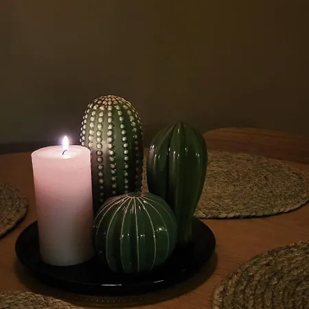 Great In Close To The Airport, With Sauna! アパート ヴァンター